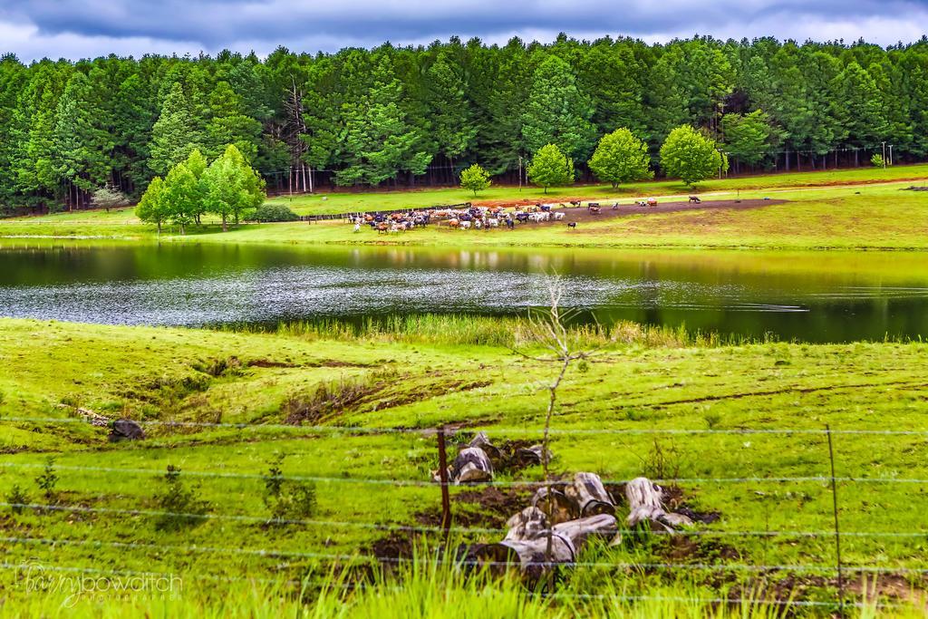 Umzimkulu River Lodge Underberg Buitenkant foto